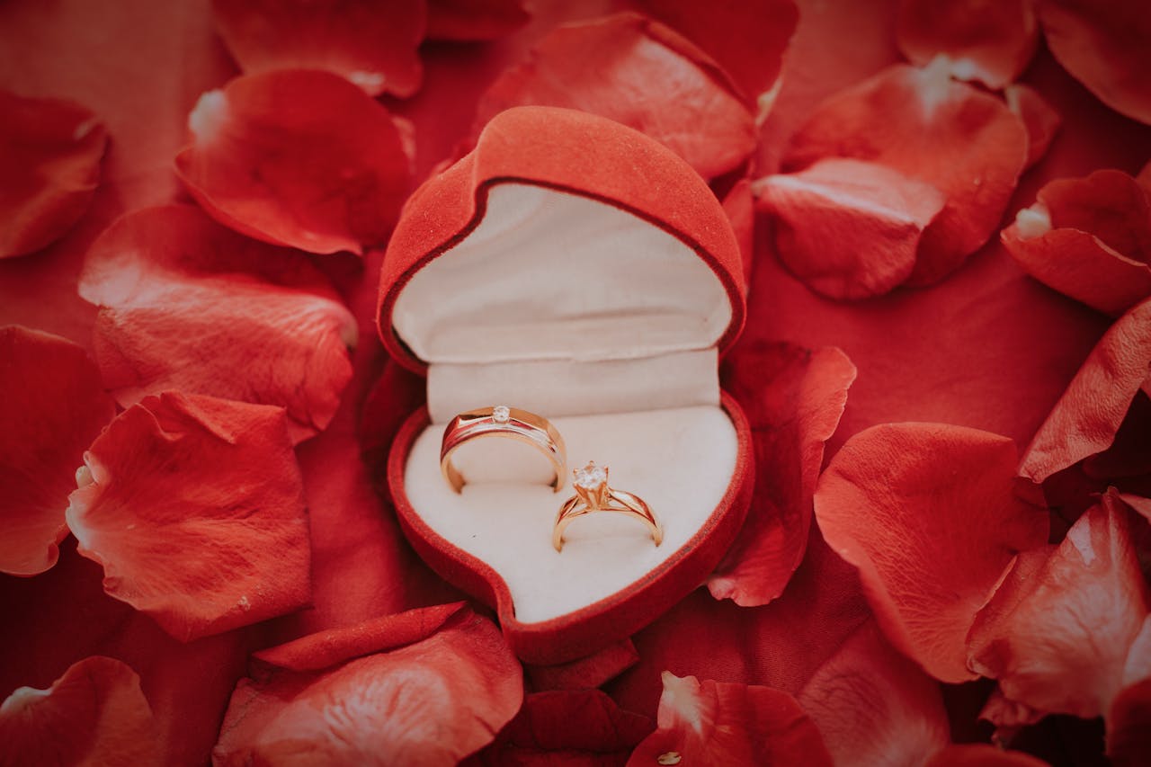 Close-up of elegant wedding rings in a red velvet box surrounded by rose petals, symbolizing love and romance.